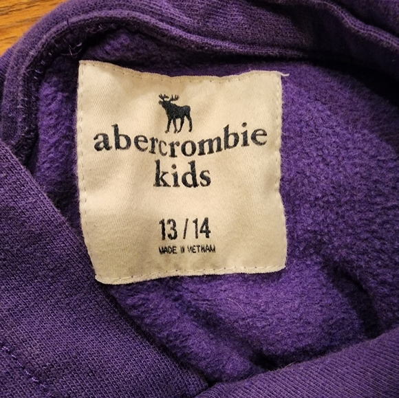 Abercrombie Kids hoodie sweatshirt, 13/14 - Picture 2 of 2